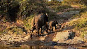 Life’s Most Unforgettable Moments